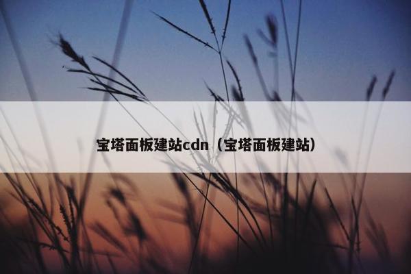 宝塔面板建站cdn（宝塔面板建站）