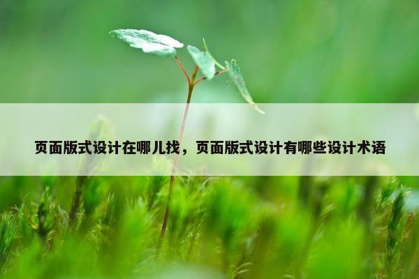 页面版式设计在哪儿找，页面版式设计有哪些设计术语