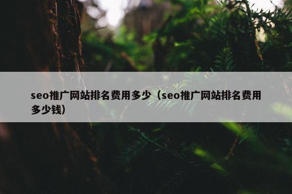 seo推广网站排名费用多少（seo推广网站排名费用多少钱）