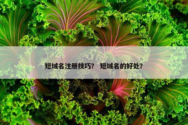 短域名注册技巧？ 短域名的好处？