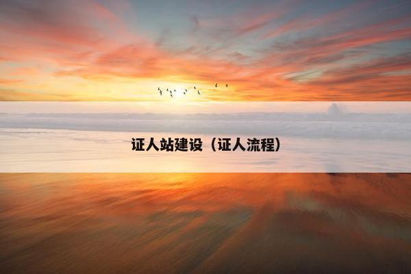 证人站建设（证人流程）