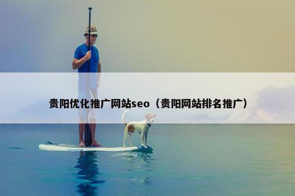 贵阳优化推广网站seo（贵阳网站排名推广）