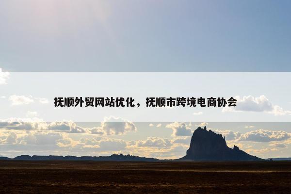 抚顺外贸网站优化，抚顺市跨境电商协会