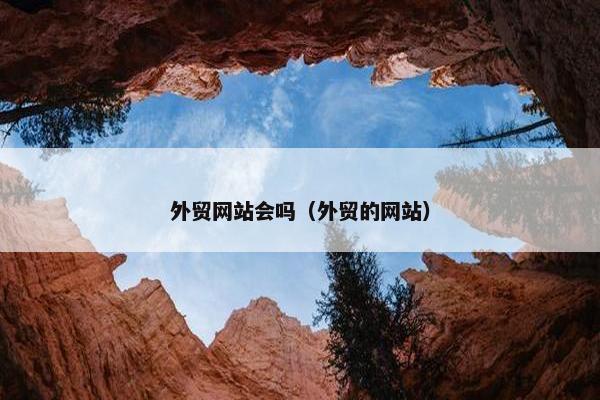 外贸网站会吗（外贸的网站）