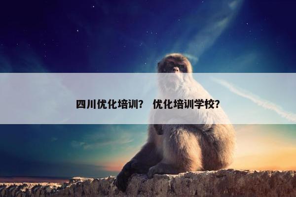 四川优化培训？ 优化培训学校？