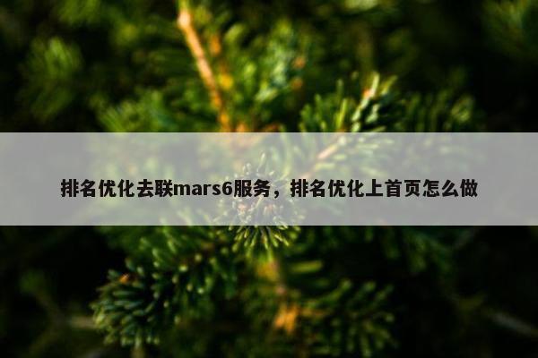 排名优化去联mars6服务，排名优化上首页怎么做