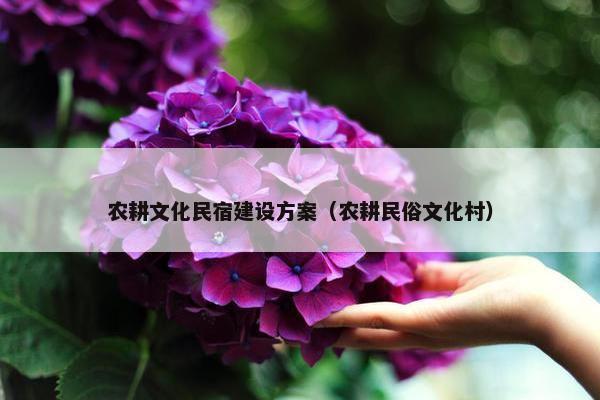 农耕文化民宿建设方案（农耕民俗文化村）