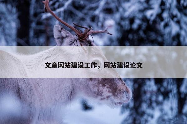 文章网站建设工作，网站建设论文