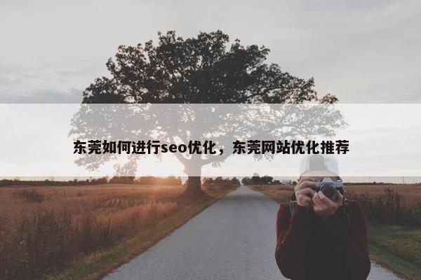 东莞如何进行seo优化，东莞网站优化推荐