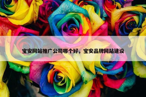 宝安网站推广公司哪个好，宝安品牌网站建设