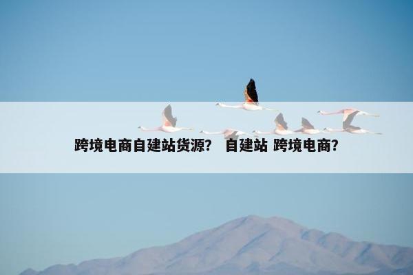 跨境电商自建站货源？ 自建站 跨境电商？