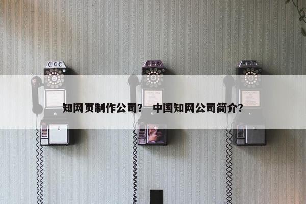 知网页制作公司？ 中国知网公司简介？