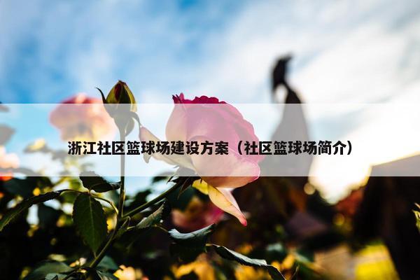 浙江社区篮球场建设方案（社区篮球场简介）