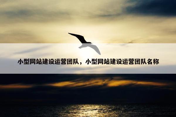 小型网站建设运营团队，小型网站建设运营团队名称