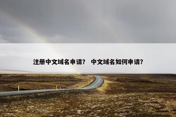 注册中文域名申请？ 中文域名如何申请？