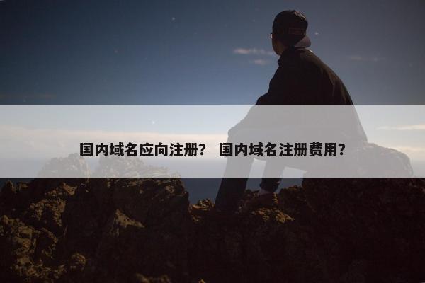 国内域名应向注册？ 国内域名注册费用？