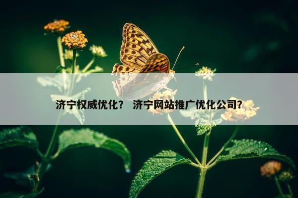 济宁权威优化？ 济宁网站推广优化公司？