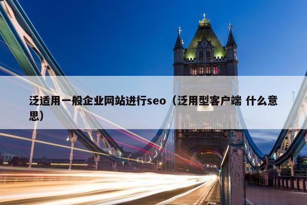 泛适用一般企业网站进行seo（泛用型客户端 什么意思）