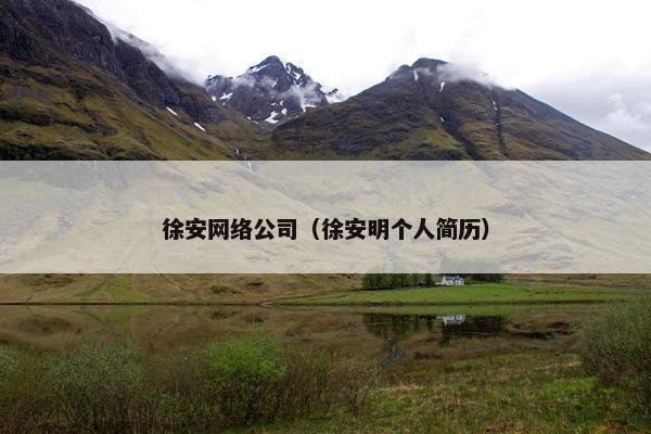 徐安网络公司（徐安明个人简历）