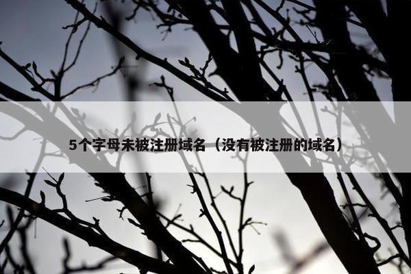 5个字母未被注册域名（没有被注册的域名）