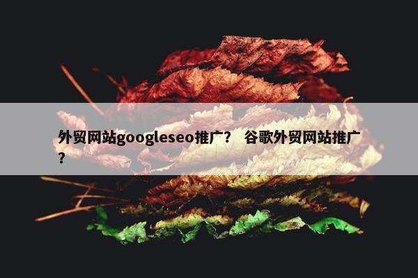 外贸网站googleseo推广？ 谷歌外贸网站推广？