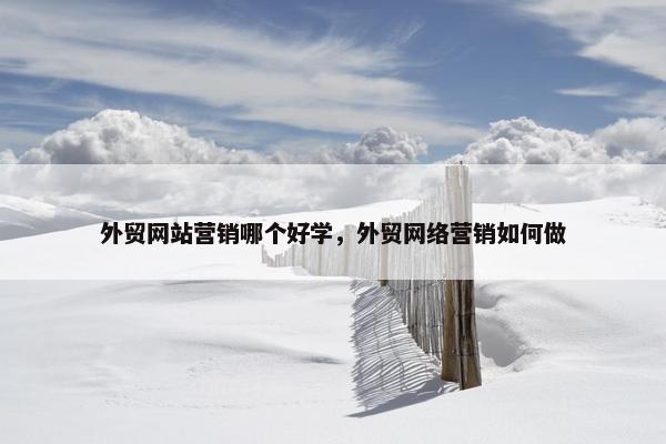外贸网站营销哪个好学，外贸网络营销如何做
