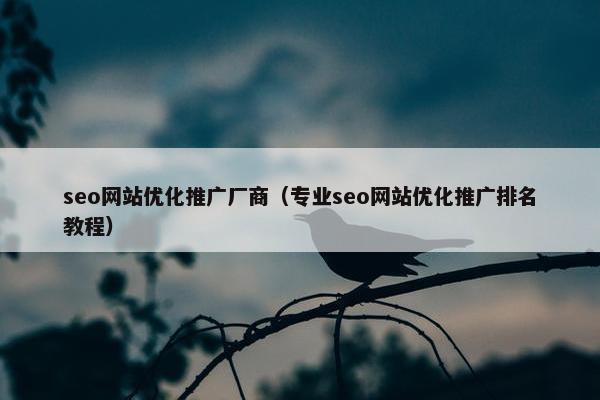 seo网站优化推广厂商（专业seo网站优化推广排名教程）