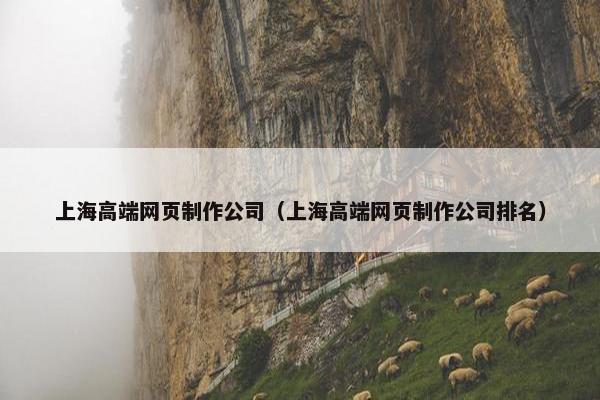 上海高端网页制作公司（上海高端网页制作公司排名）