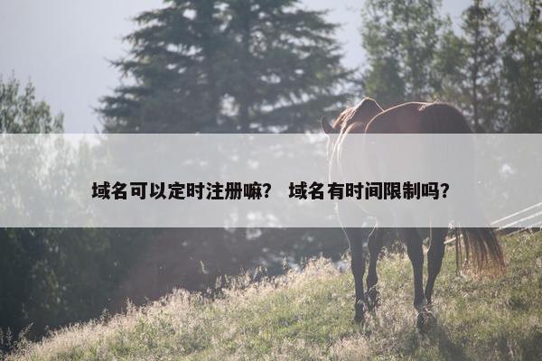 域名可以定时注册嘛？ 域名有时间限制吗？