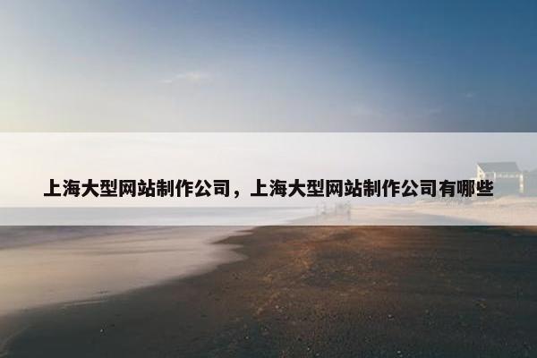 上海大型网站制作公司，上海大型网站制作公司有哪些