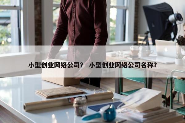 小型创业网络公司？ 小型创业网络公司名称？