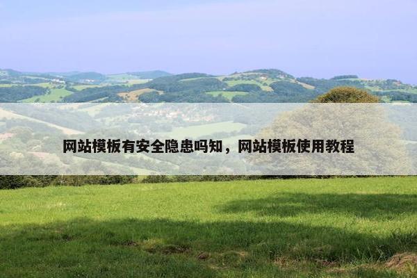 网站模板有安全隐患吗知，网站模板使用教程