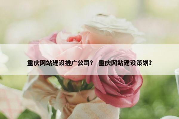 重庆网站建设推广公司？ 重庆网站建设策划？