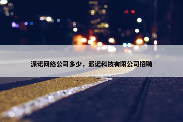 派诺网络公司多少，派诺科技有限公司招聘