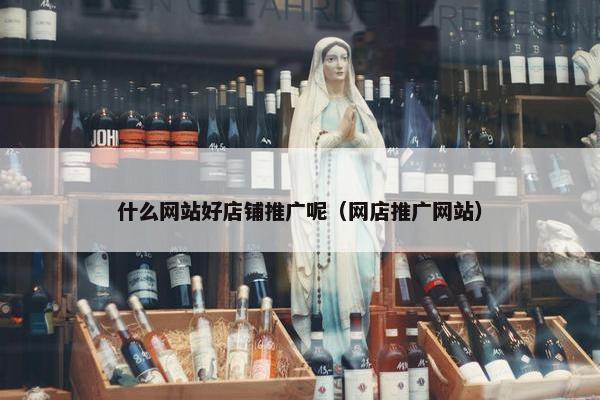 什么网站好店铺推广呢（网店推广网站）