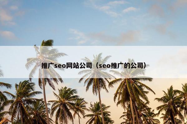 推广seo网站公司（seo推广的公司）