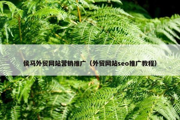 侯马外贸网站营销推广（外贸网站seo推广教程）