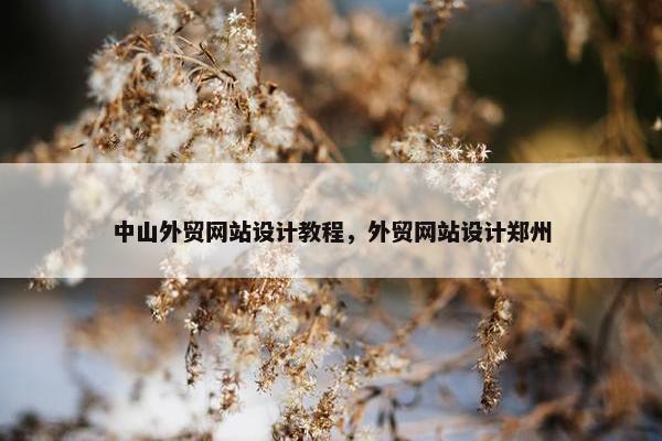 中山外贸网站设计教程，外贸网站设计郑州