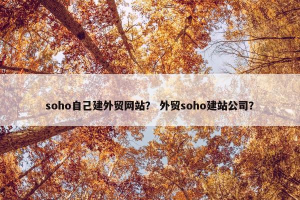 soho自己建外贸网站？ 外贸soho建站公司？