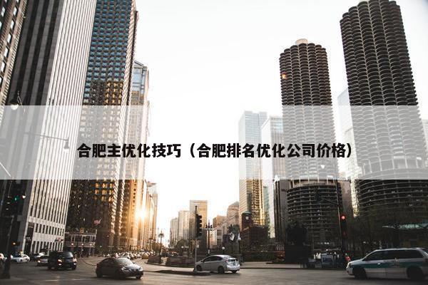 合肥主优化技巧（合肥排名优化公司价格）