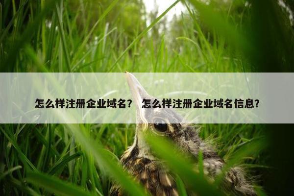 怎么样注册企业域名？ 怎么样注册企业域名信息？