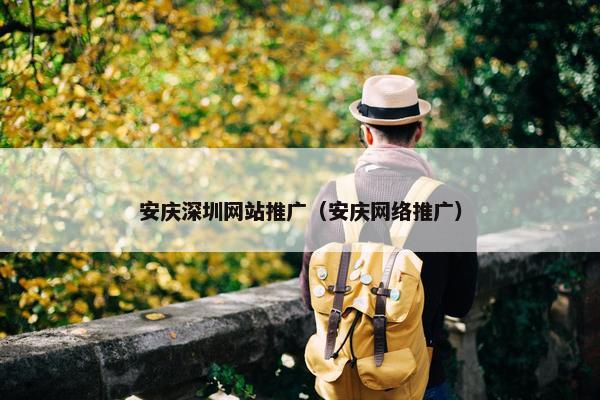 安庆深圳网站推广（安庆网络推广）