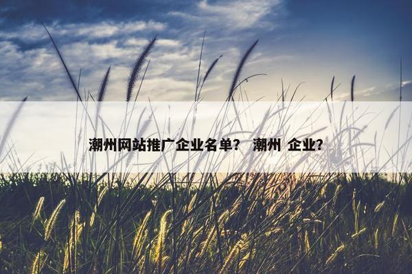潮州网站推广企业名单？ 潮州 企业？