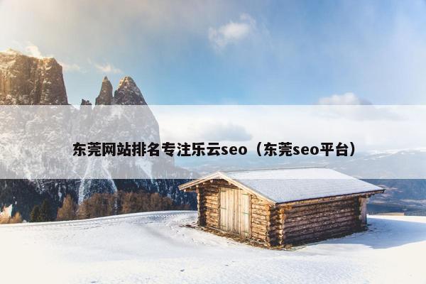 东莞网站排名专注乐云seo（东莞seo平台）