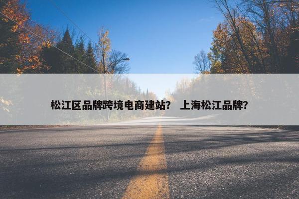 松江区品牌跨境电商建站？ 上海松江品牌？