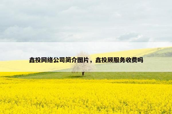 鑫投网络公司简介图片，鑫投顾服务收费吗