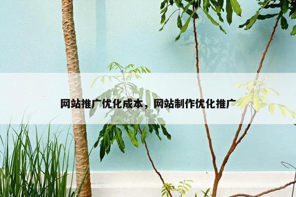 网站推广优化成本，网站制作优化推广