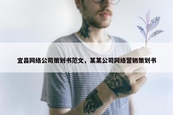 宜昌网络公司策划书范文，某某公司网络营销策划书