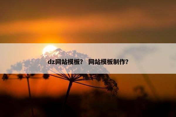 dz网站模板？ 网站模板制作？