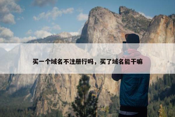 买一个域名不注册行吗，买了域名能干嘛